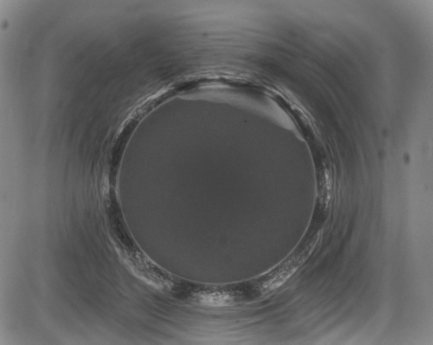 X0000084050500200702161510