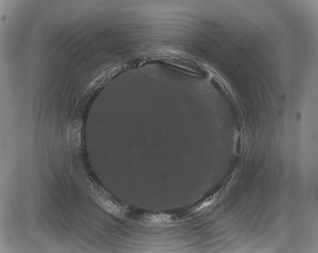 X0000084050501200702161510