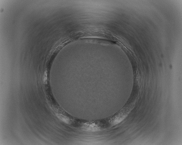 X0000084050502200702161510