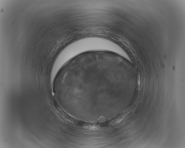 X0000084050503200702161510