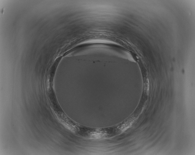 X0000084050504200702161510