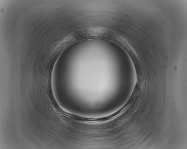 X0000084050505200702161510