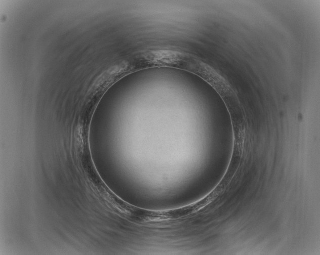 X0000084050506200702161510