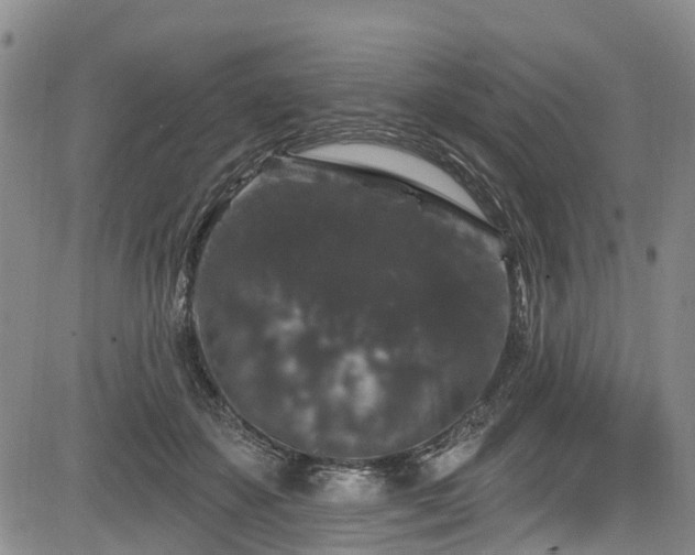 X0000084050507200702161510