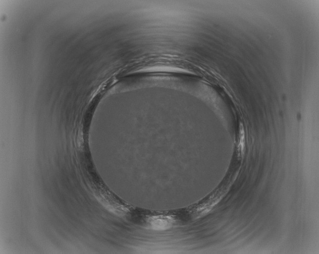 X0000084050508200702161510