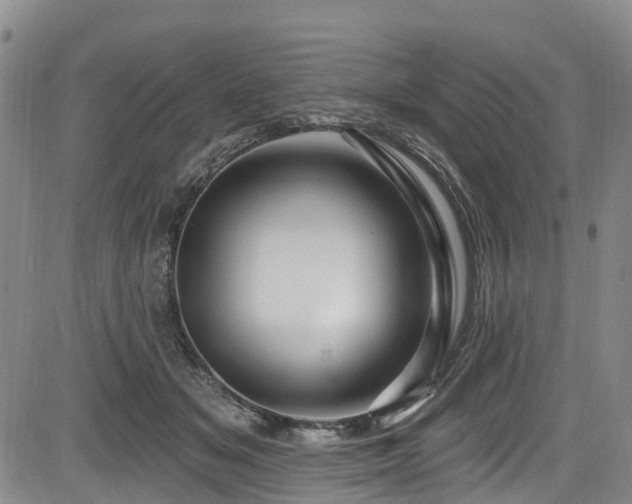 X0000084050509200702161510