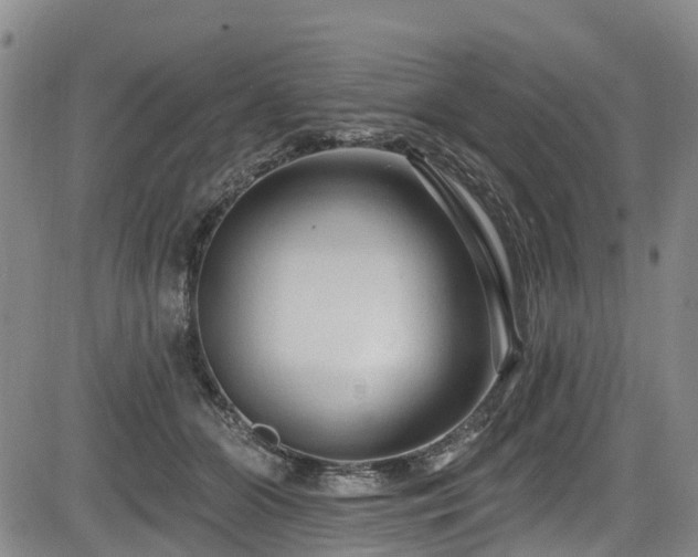 X0000084050510200702161510