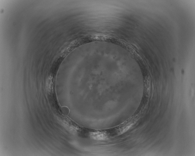 X0000084050511200702161510