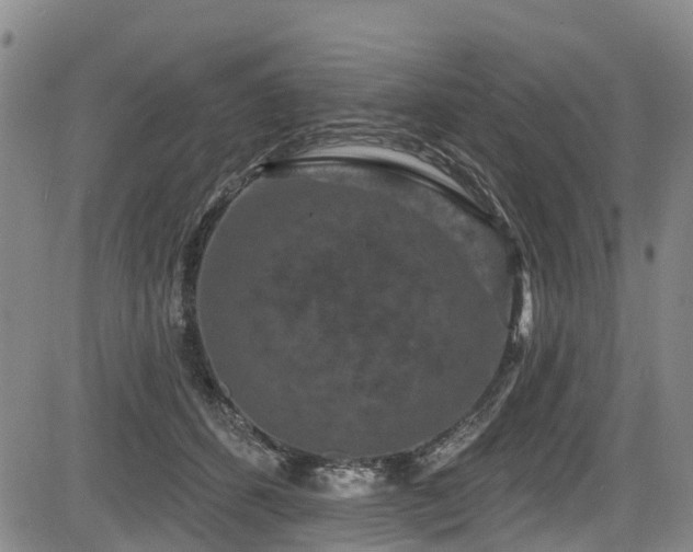 X0000084050512200702161510