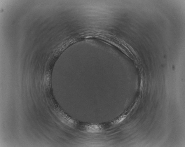 X0000084050513200702161510