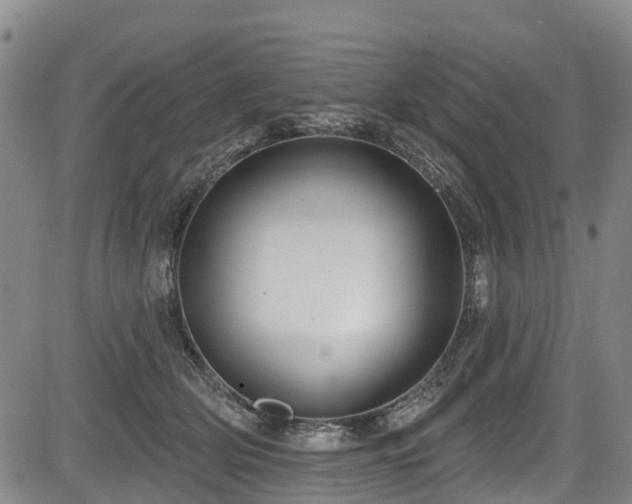 X0000084050514200702161510