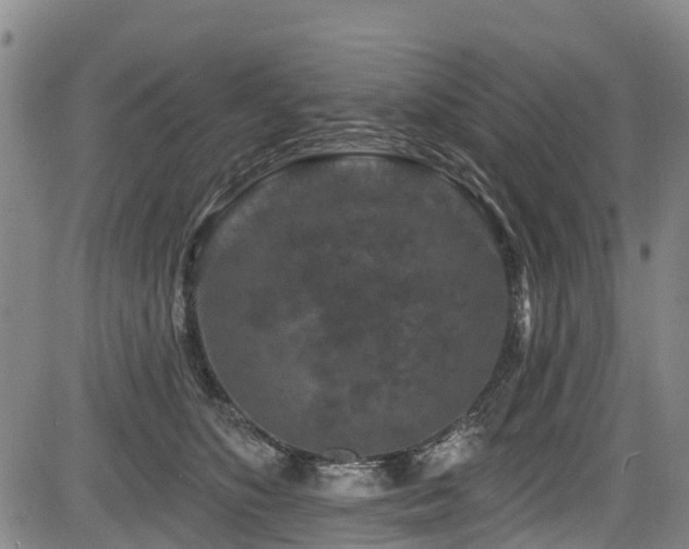 X0000084050516200702161510