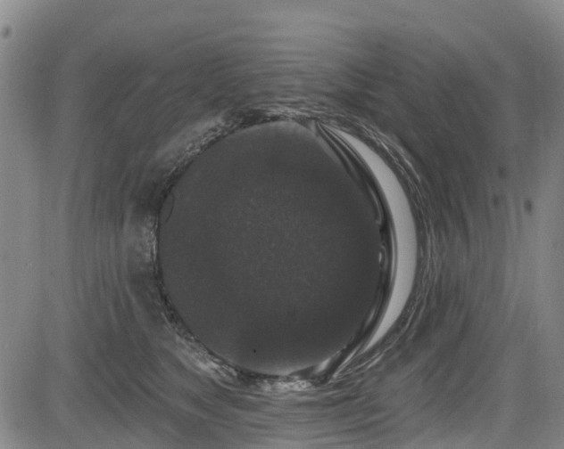 X0000084050517200702161510