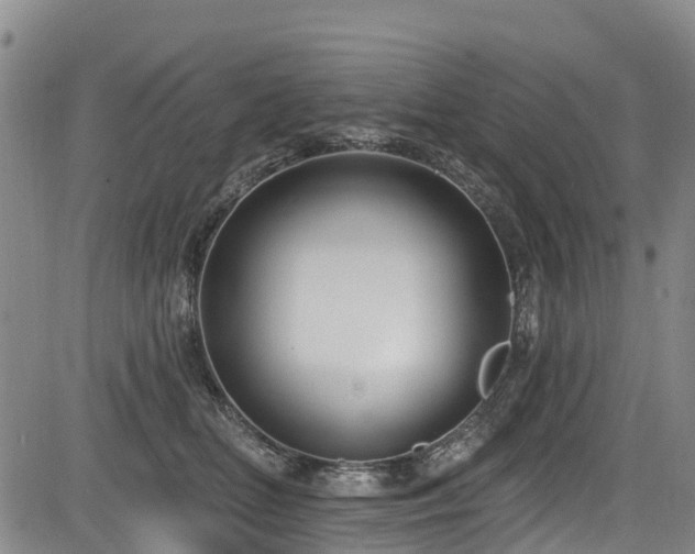 X0000084050518200702161510