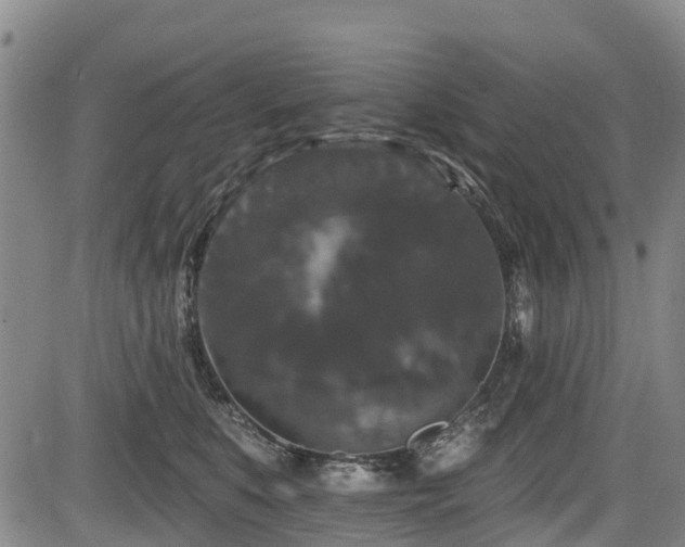 X0000084050519200702161510