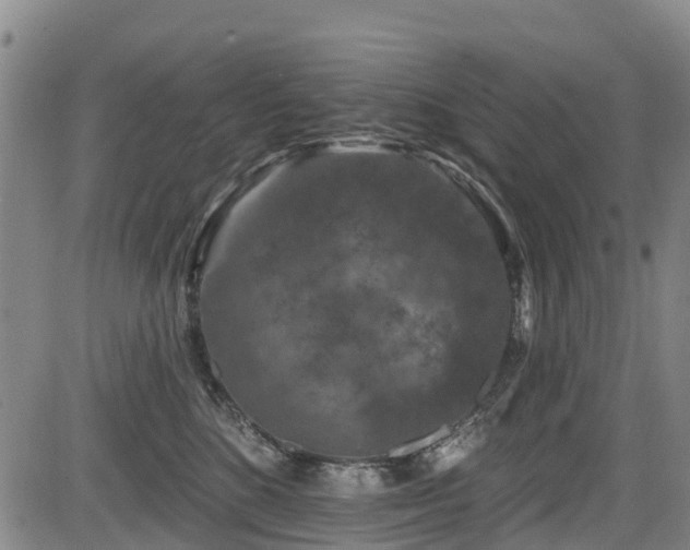 X0000084050520200702161510