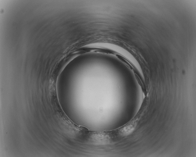 X0000084050521200702161510