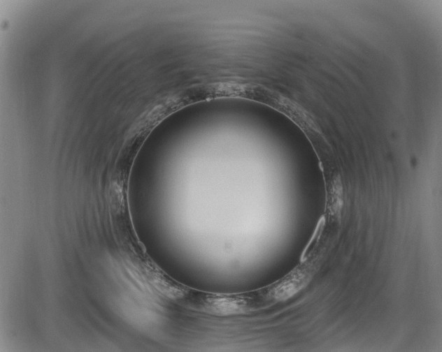 X0000084050522200702161510