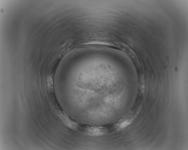 X0000084050523200702161510