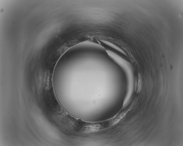 X0000084050525200702161510