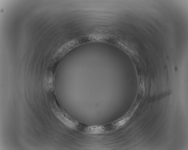 X0000084050526200702161510