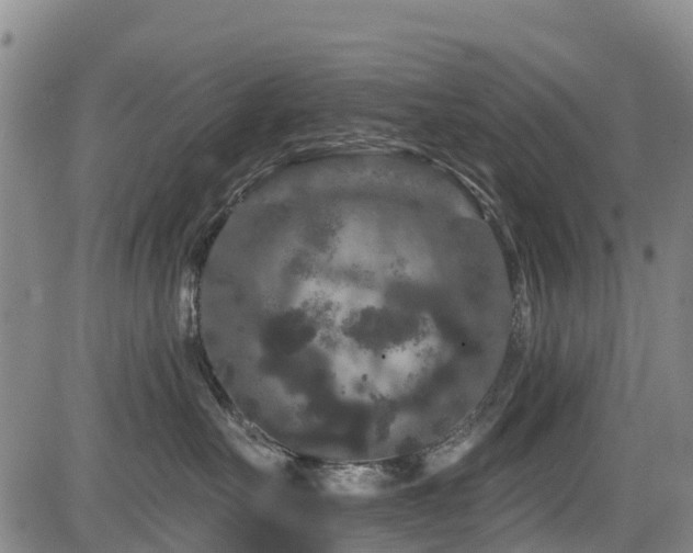 X0000084050527200702161510