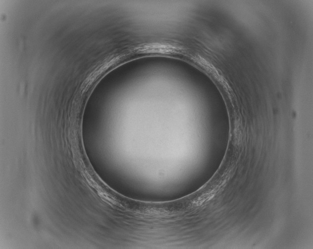 X0000084050529200702161509