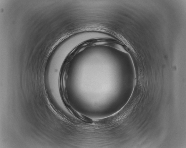 X0000084050530200702161509