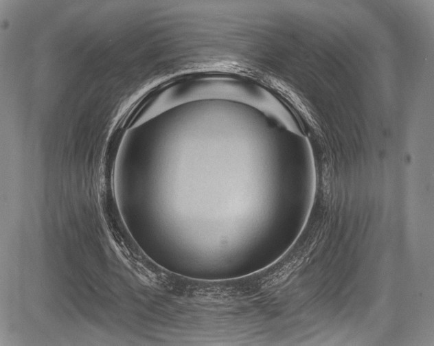 X0000084050532200702161509