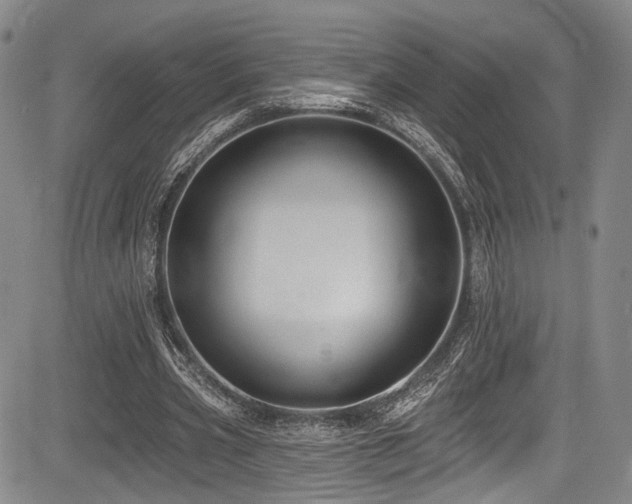 X0000084050533200702161509