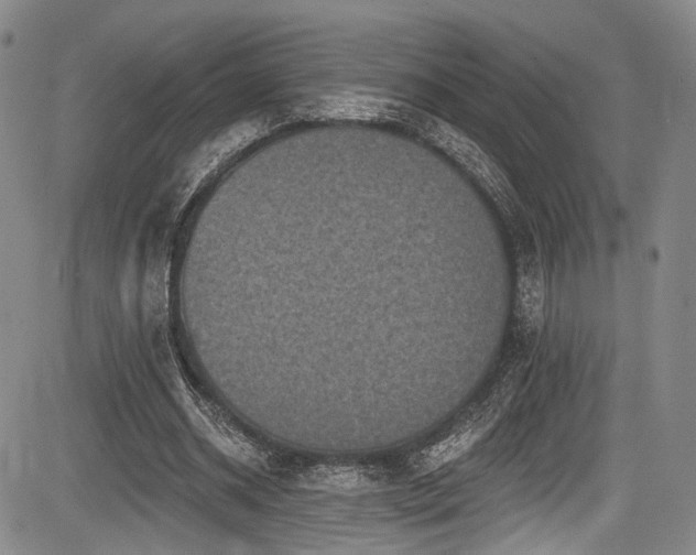 X0000084050534200702161509