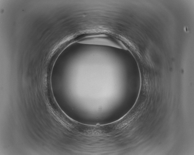 X0000084050535200702161509