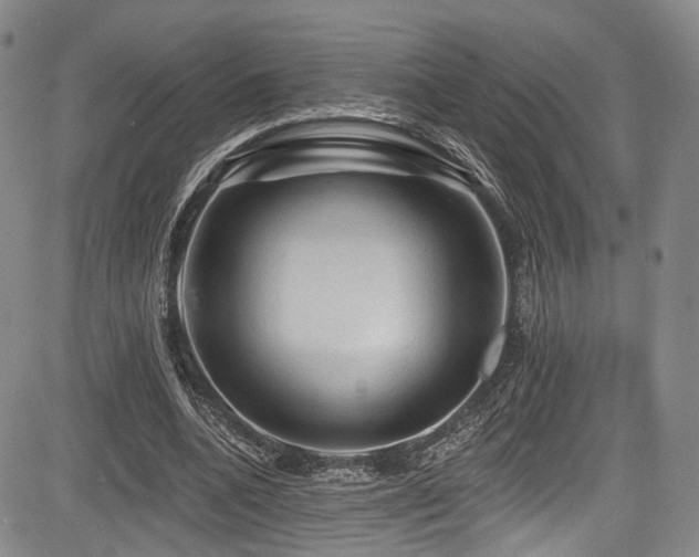 X0000084050536200702161509