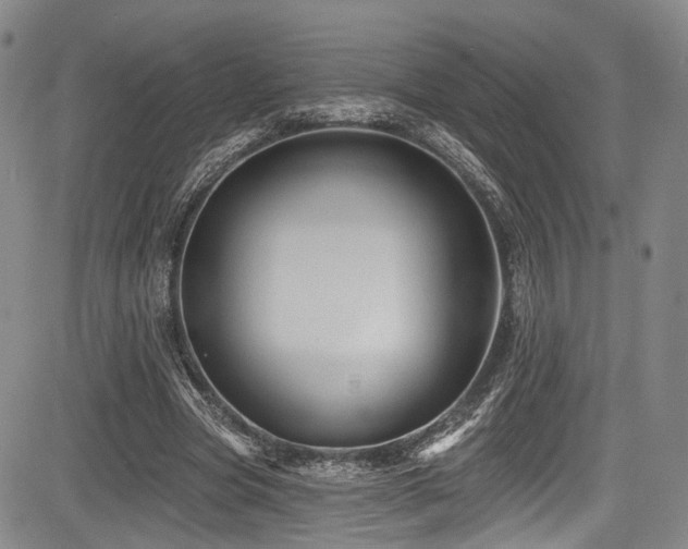 X0000084050537200702161509