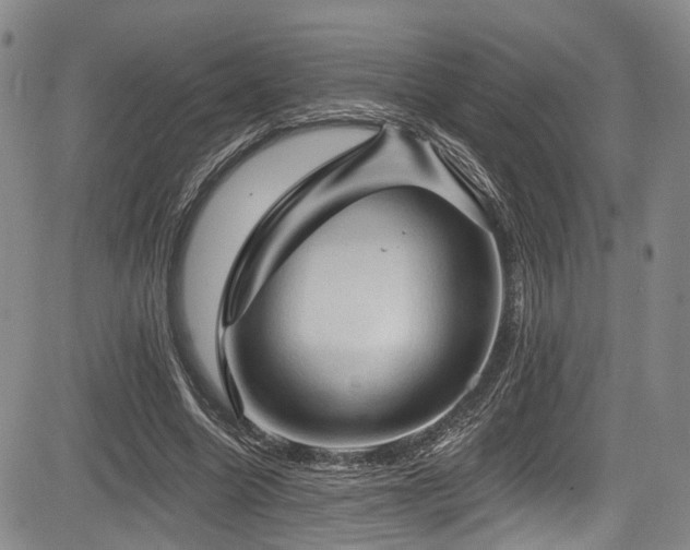 X0000084050538200702161509