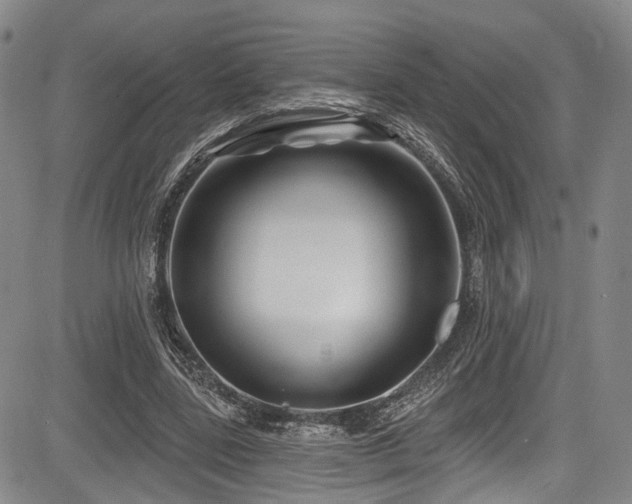 X0000084050539200702161509