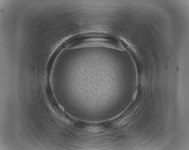 X0000084050540200702161509