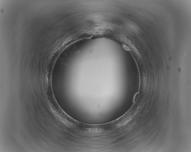 X0000084050541200702161509