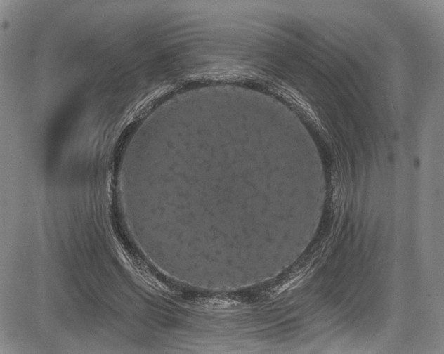 X0000084050542200702161509