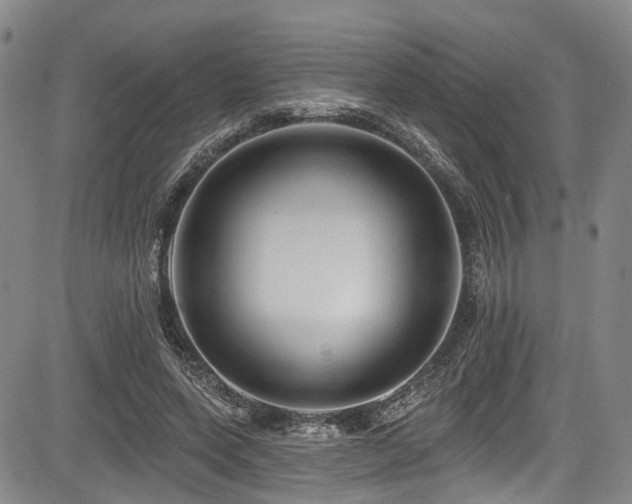 X0000084050543200702161509