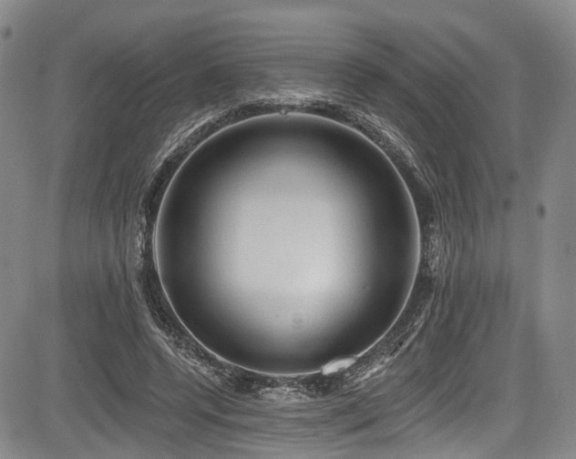 X0000084050544200702161509