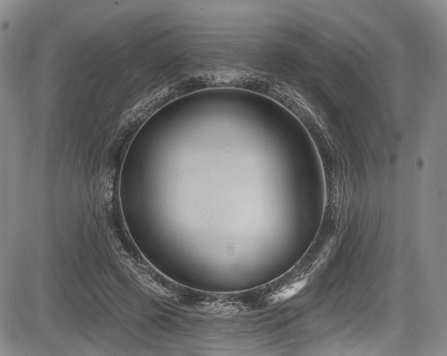 X0000084050545200702161509