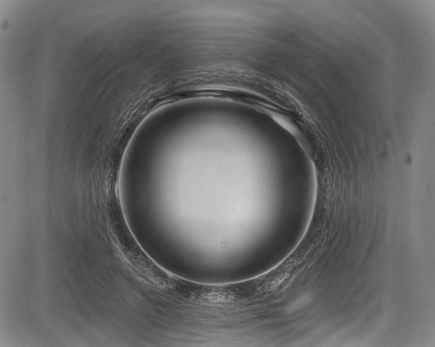 X0000084050546200702161509