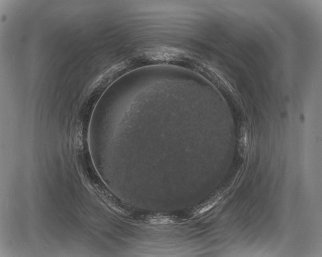 X0000084050547200702161509