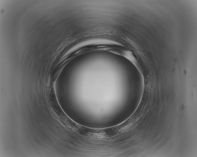 X0000084050548200702161509