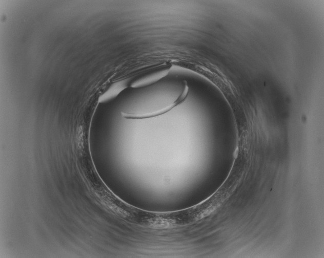 X0000084050549200702161509