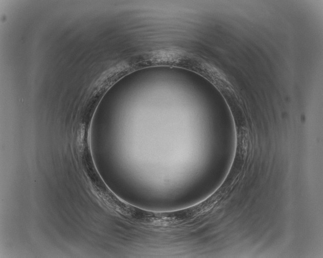 X0000084050550200702161509