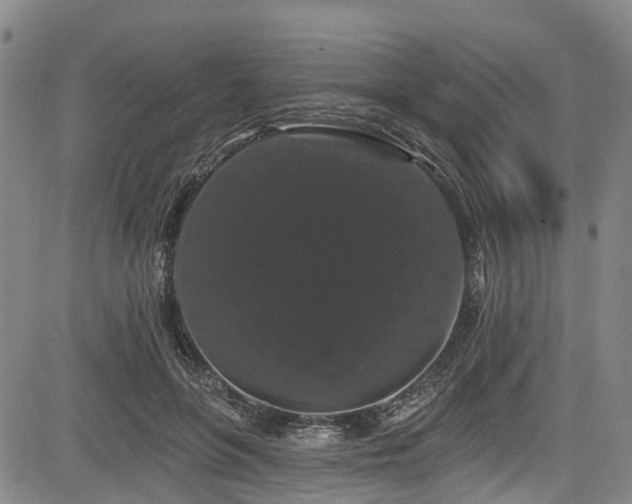 X0000084050551200702161509