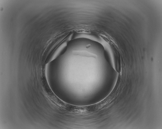 X0000084050552200702161509