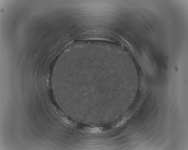 X0000084050553200702161509